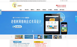 老榕树网站建设公司模板 基于DedeCMS的仿站实践与网站建设方案