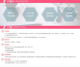 企业网站建设中不可忽视的核心要点 从页面设计到品牌价值的过渡